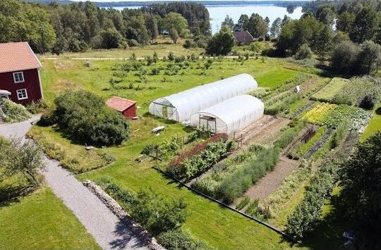 Studiebesök Odlingsakademien Bolsgården Skärbäck Ramkvilla Vetlanda
